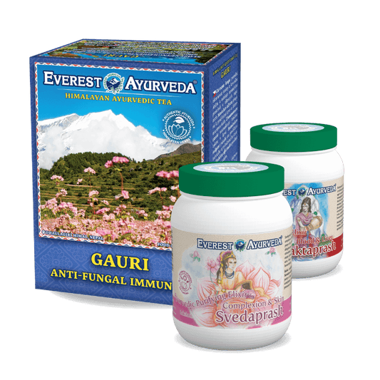 Everest Ayurveda, Kraujo ir odos detoksikacija